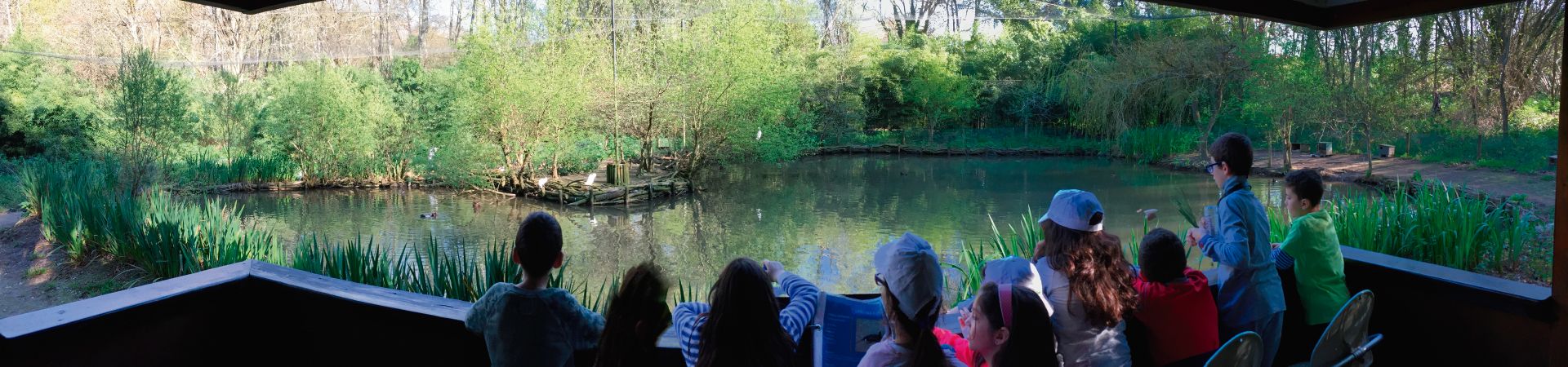 Weteach - Centros de Estudos - Atividades de Férias - Páscoa